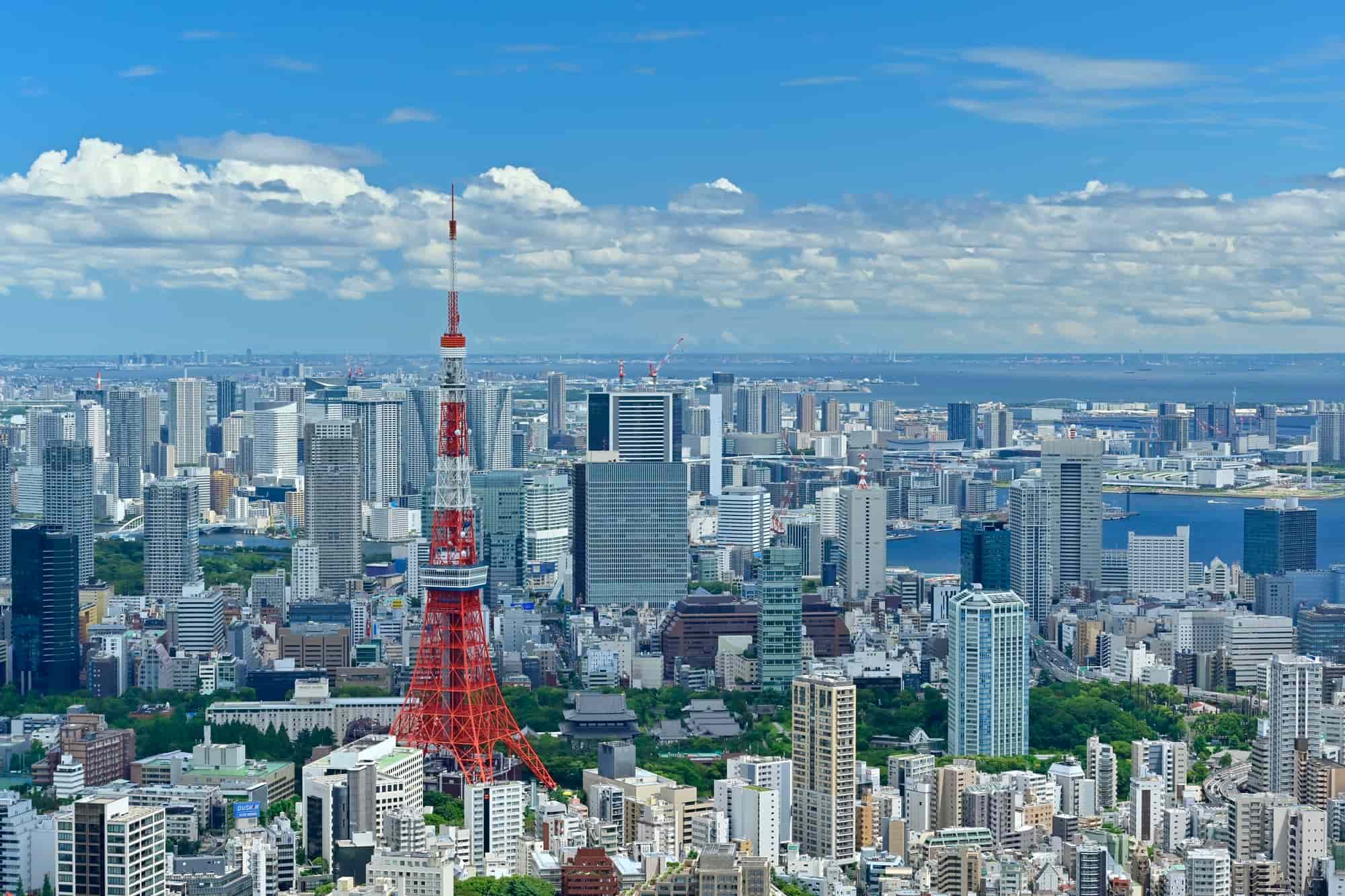 スカイデッキから都内の桜名所が見渡せる